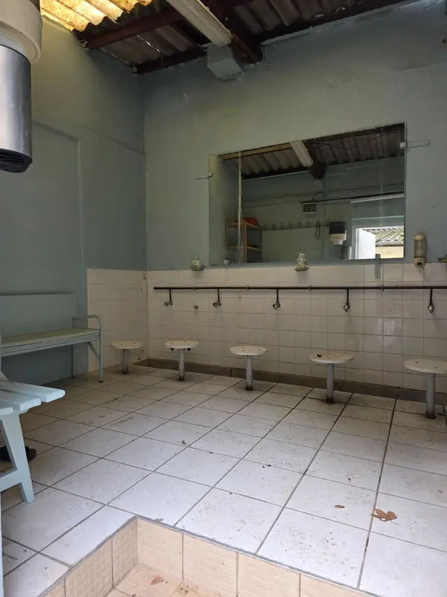 Etudes
